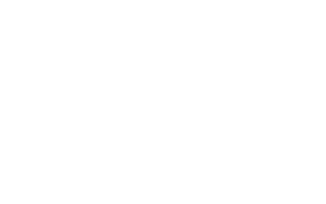 FF-logo-blc