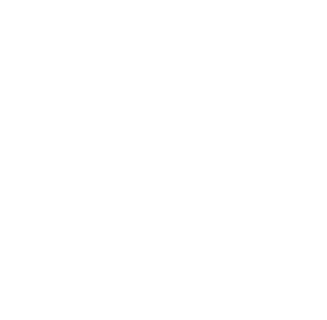 agenda-diag_blc